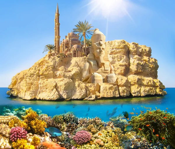 Collage Sharm Sheikh Egypte Met Koraalrif Vissen — Stockfoto