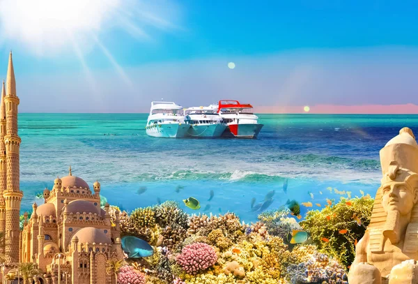 Collage Sharm Sheikh Egypte Met Koraalrif Vissen — Stockfoto