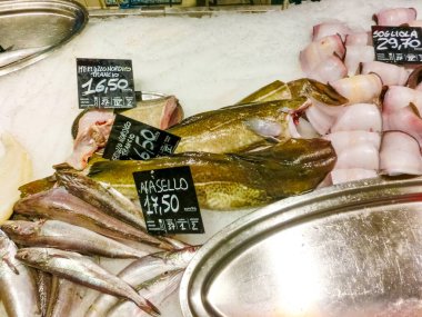 Liguria birçok farklı taze balıklar ile İtalyan balık pazarı - kefal, dorado, çipura, karides, hamsi, uskumru, mahi-mahi. Seçici odaklama