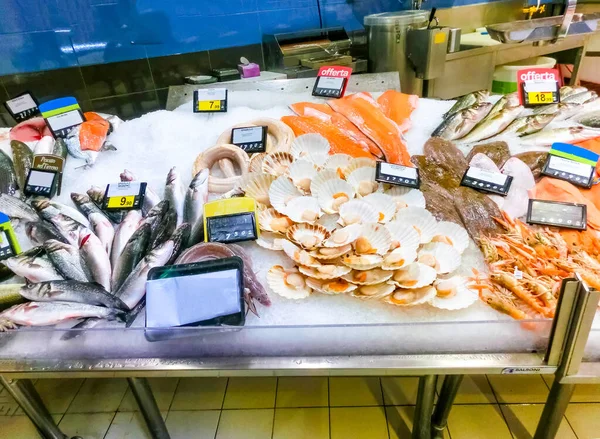 Italian fish market with many different fresh fishes at Liguria - mullet, dorado, sea bream , shrimps, anchovys, mackerel, mahi-mahi. Selective focus