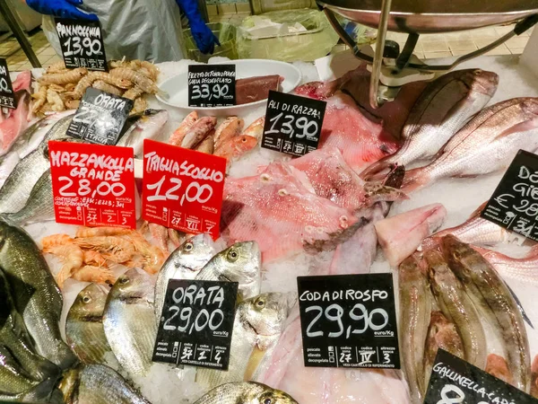 Italian fish market with many different fresh fishes at Liguria - mullet, dorado, sea bream , shrimps, anchovys, mackerel, mahi-mahi. Selective focus