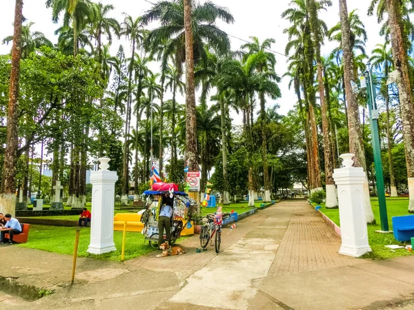 Puerto Limón Costa Rica Diciembre 2019 Parque Vargas City Park — Foto de Stock