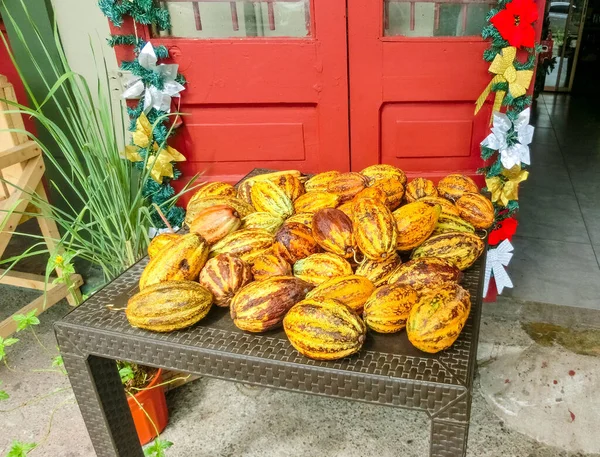 Färska Kakaofrukter Port Limon Kusthamn Costa Rica — Stockfoto