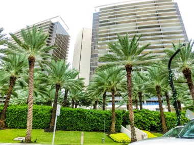 Miami Beach Florida ile plaja yakın lüks daireler