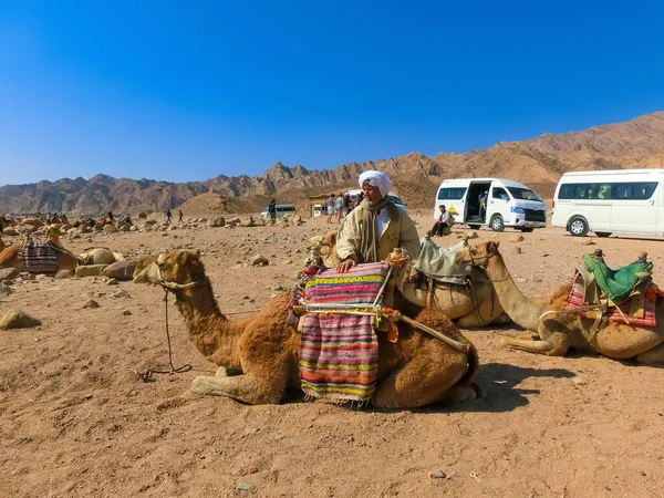 Sharm Sheikh Mısır Şubat 2020 Şubat 2020 Sharm Sheikh Mısır — Stok fotoğraf