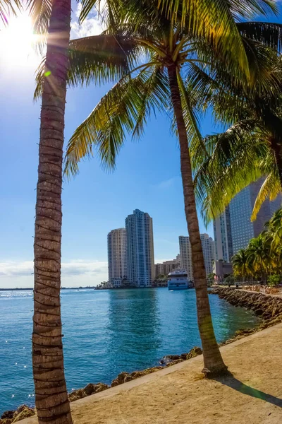 Lumière tôt le matin à Bayfront Park Miami — Photo