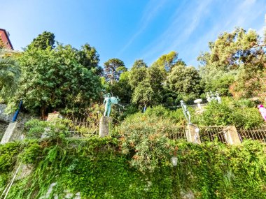 Portofino, Liguria, İtalya 'da yeşil bitkilerle park