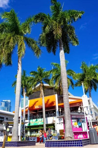 Miami Abd Kasım 2019 Miami Marina Bayside Marketplace Deki Insanlar — Stok fotoğraf