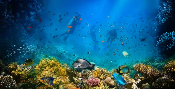 Grupo Buceadores Explorando Arrecifes Coral Deportes Submarinos Vacaciones Tropicales — Foto de Stock