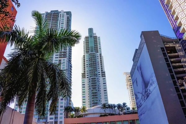 Miami Usa November 2019 Downtown Miami Stadsbild Med Lägenheter Och — Stockfoto