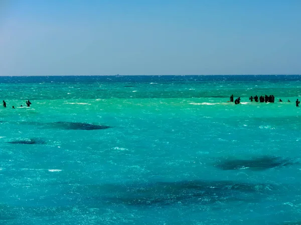 Toeristen Zwemmen Ras Mohamed National Park Rode Zee Sharm Sheikh — Stockfoto