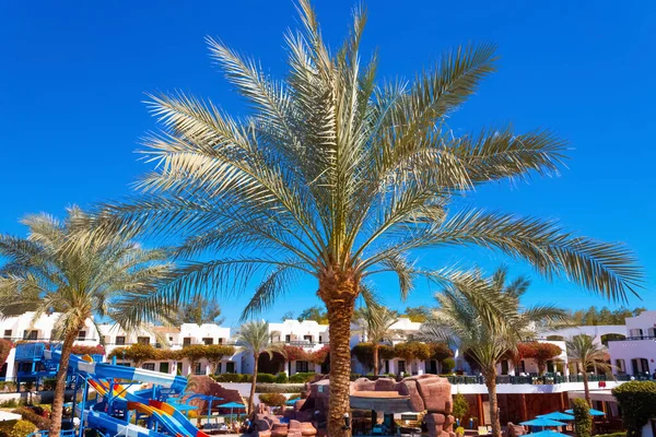 Sharm Sheikh Egito Fevereiro 2020 Vista Hotel Verginia Sharm Resort — Fotografia de Stock