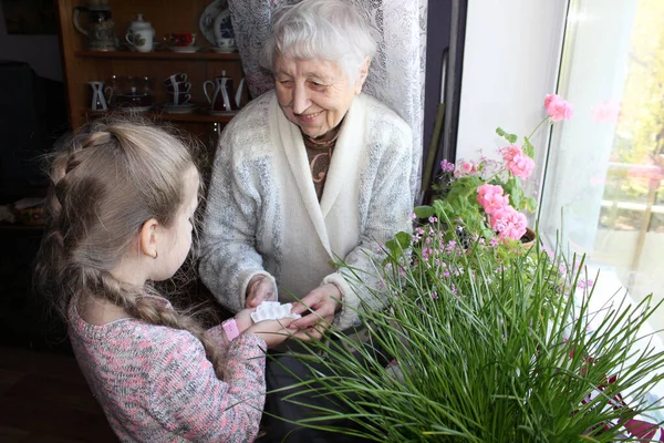 Petite Fille Donnant Des Pilules Grand Mère Maison Concept Covid — Photo