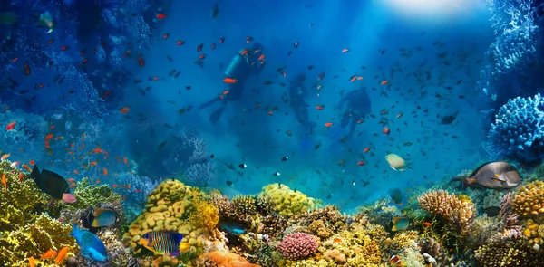 Grupo Buceadores Explorando Arrecifes Coral Deportes Submarinos Vacaciones Tropicales —  Fotos de Stock