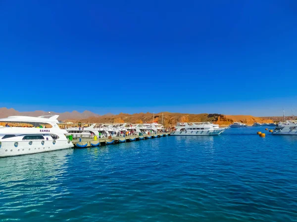 Sharm Sheikh Egypten Februari 2020 Fritidsbåtar Hamnen För Kryssning Ras — Stockfoto