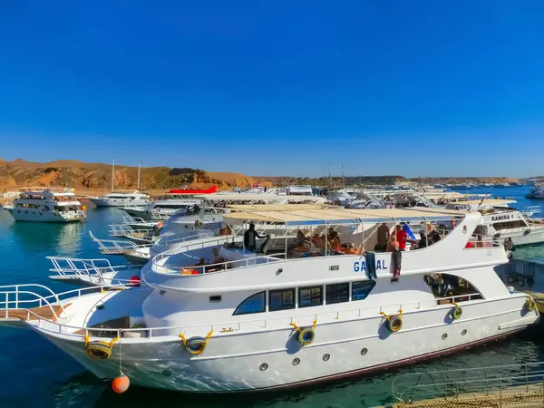 Sharm Sheikh Egyiptom Február 2020 Gyönyör Jachtok Kikötőben Sétahajózás Ras — Stock Fotó