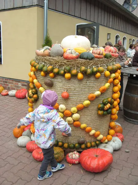 2018年10月28日ドイツ クライストウ 現代的な屋外公園でのハロウィン野菜のインストール Klaistow Farm ドイツ2018年10月28日 — ストック写真