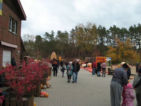 Klaistow Alemania Octubre 2018 Instalación Verduras Halloween Moderno Parque Aire — Foto de Stock