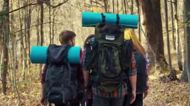 Bir grup genç yürüyüşçü sonbahar ormanlarında sırt çantalarıyla yürüyor. — Stok video