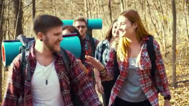 Happy friends pěší turistika s batohy v podzimním lese — Stock video