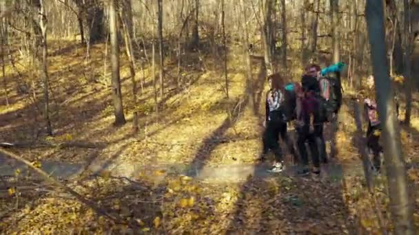 Активные друзья, путешествующие по осеннему лесу с рюкзаками — стоковое видео