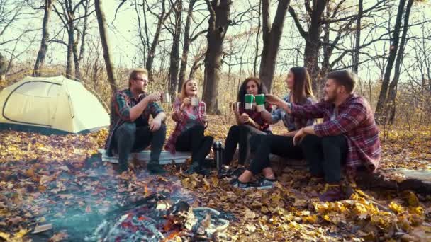 Campers toasting with thermo mugs by campfire in forest — ストック動画