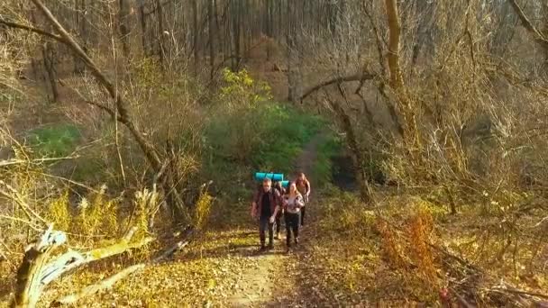 Excursionistas en expedición en hermoso bosque otoñal — Vídeos de Stock