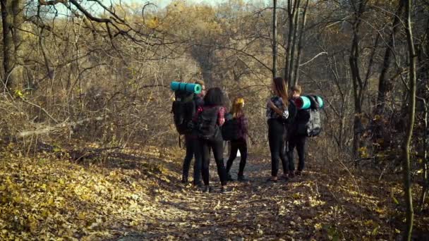 Молодих туристів похід в красивий осінній ліс — стокове відео