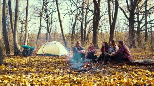 Felices turistas sentados junto a la fogata en el bosque y tomando bebidas calientes — Vídeos de Stock