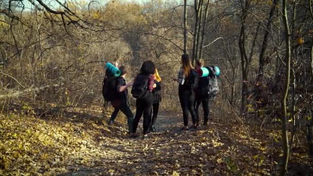 Молодые туристы смотрят на бумажную карту осеннего леса — стоковое видео
