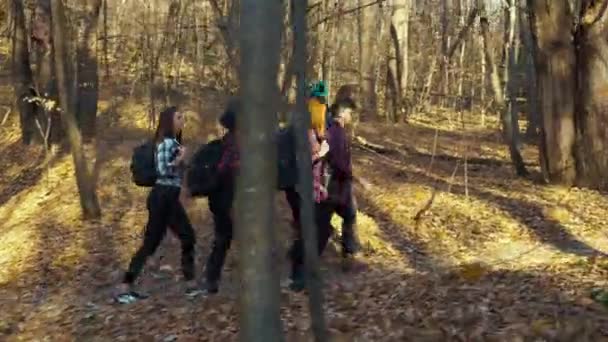 Туристы с рюкзаками прогуливаются по осеннему лесу — стоковое видео