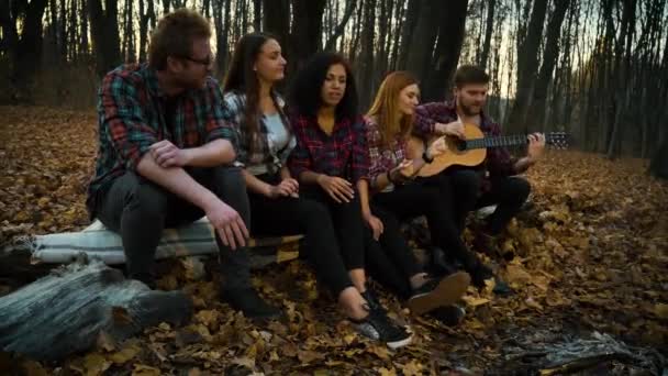 Glückliche Wanderer entspannen sich am Lagerfeuer und hören der Gitarre zu — Stockvideo