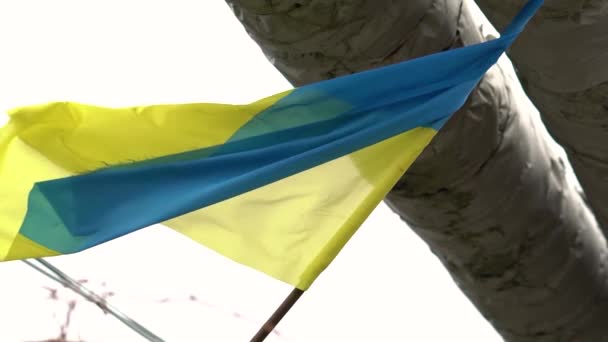 Ukrainian flag swaying under heating pipes outside — ストック動画