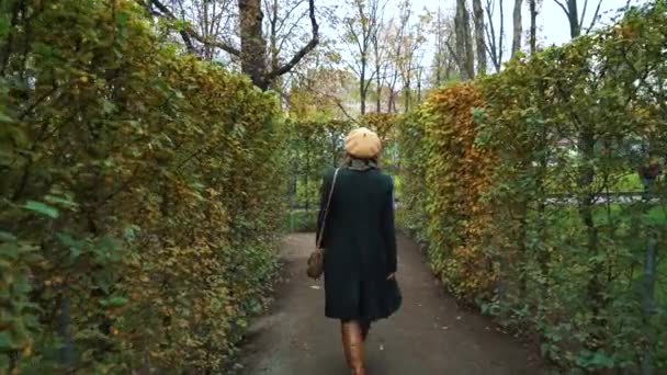 Mädchen spaziert im Herbst zwischen Baumreihen im Gartenlabyrinth — Stockvideo