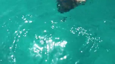 Mavi bikinili, dalış ekipmanıyla suya dalan formda bir kız.