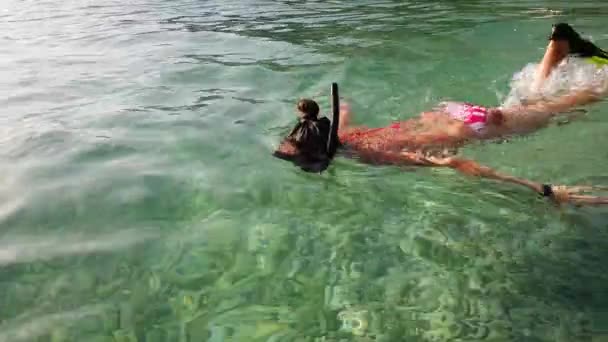 Esnórquel adolescente con máscara y aletas en agua de mar clara — Vídeo de stock