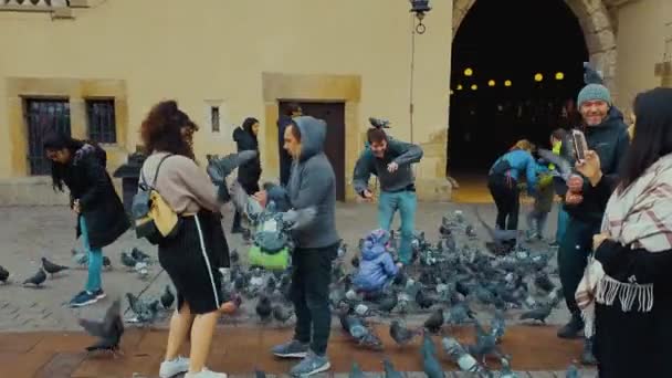 Krakow, Poland - Nov 16, 2019: pigeons sitting on heads of happy tourists — ストック動画