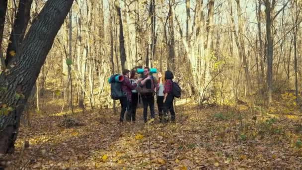 Wandelaars beslissen welke kant ze op gaan in het najaarsbos — Stockvideo