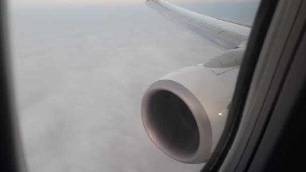 Vliegtuig dat over dikke wolken vliegt — Stockvideo