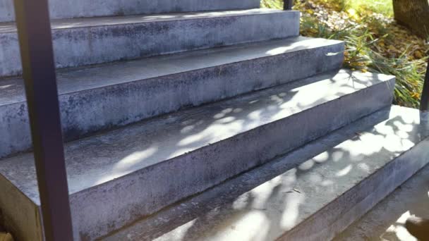 Frauenfüße gehen im Park die Treppe hoch — Stockvideo