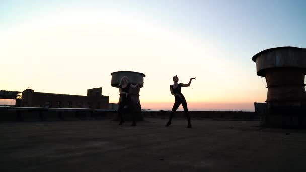 Silhuetas de meninas graciosas dançando no telhado industrial ao pôr do sol — Vídeo de Stock