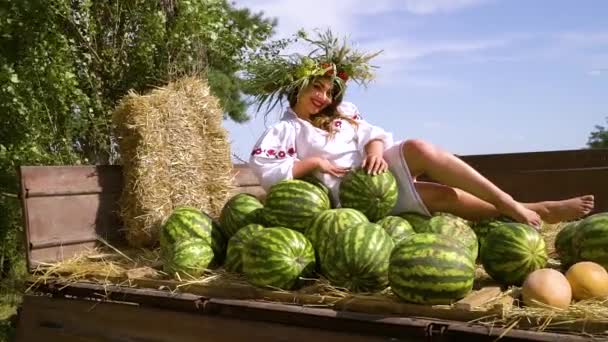 Glad plus storlek modell i etnisk kostym poserar bland vattenmeloner — Stockvideo