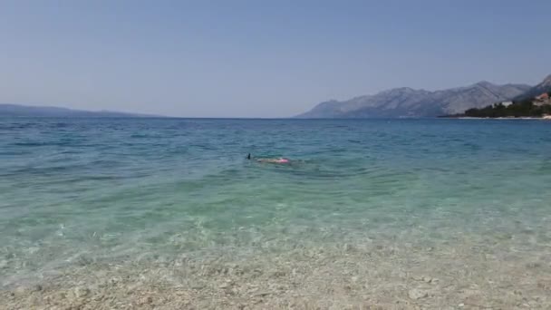 Adolescent explorer les fonds marins à l'aide d'un masque et d'une nageoire — Video