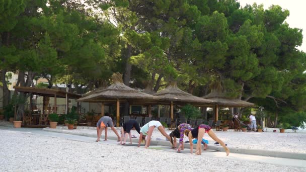 Башка-Вода, Хорватия - 12 июня 2019 года: группа спортсменов, практикующих йогу у моря — стоковое видео