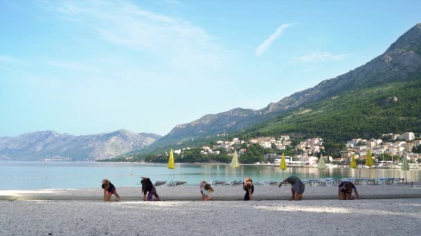 Молодые спортсмены, стоящие на коленях на занятиях йогой у моря — стоковое видео