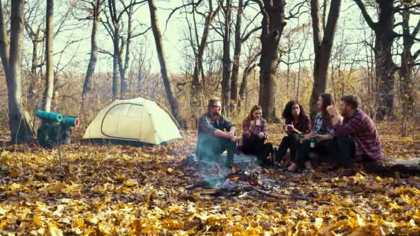 Tourists having hot drinks by fire in autumn forest — Stock Video