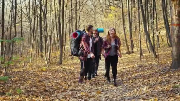 Gelukkige jonge wandelaars wandelen in het herfstbos — Stockvideo