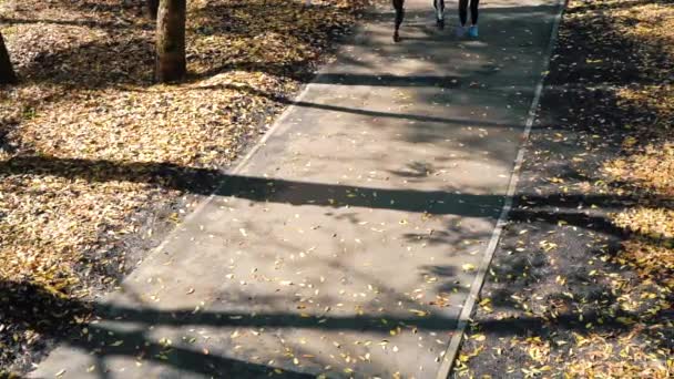 Щасливі дівчата бігають на ранковому сонці в громадському парку — стокове відео