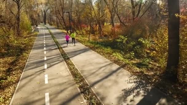 Gelukkig paar joggen in de herfst park in de ochtend — Stockvideo