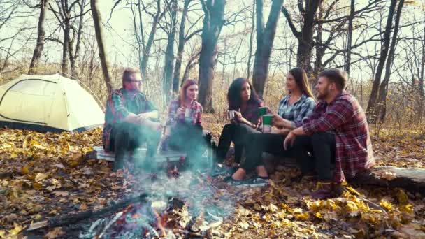 Touristen stoßen mit Thermobechern am Lagerfeuer im herbstlichen Wald an — Stockvideo